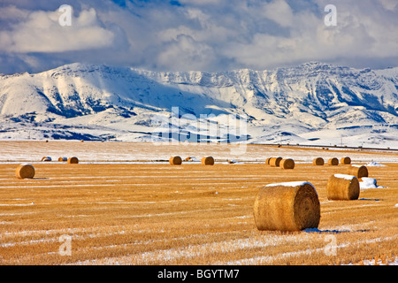 Hay bales covered in snow backdropped by snowcovered mountains in Southern Alberta, Canada. Stock Photo