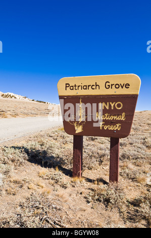 Sign at the Patriarch Grove, Ancient Bristlecone Pine Forest, Inyo National Forest, White Mountains, California Stock Photo