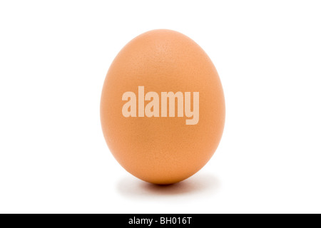 Single whole Hens Egg isolated against white background Stock Photo