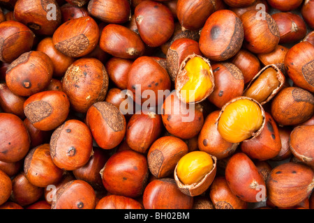 Close-up photo of chestnuts Stock Photo