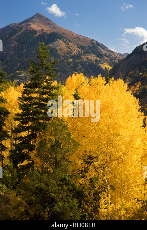 Autumn colors in the San Juan Mountains, near Ouray, Colorado. Stock Photo