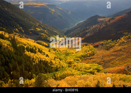 Looking down Last Dollar road at the Autumn colors in the San Juan Mountains, near Telluride, Colorado. Stock Photo