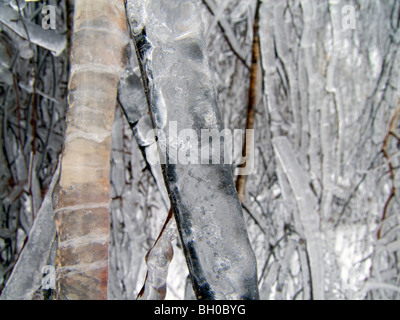 Extreme weather -winter - hoarfrost and glazed frost Stock Photo