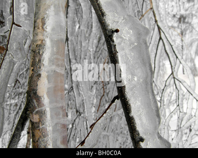 Extreme weather -winter - hoarfrost and glazed frost Stock Photo