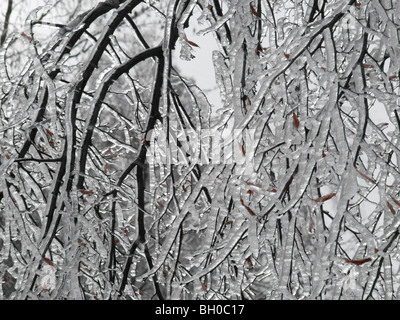 Extreme weather -winter - hoarfrost and glazed frost Stock Photo