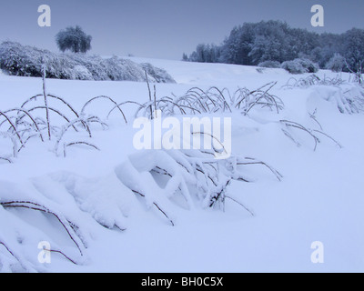 Extreme weather -winter - hoarfrost and glazed frost Stock Photo