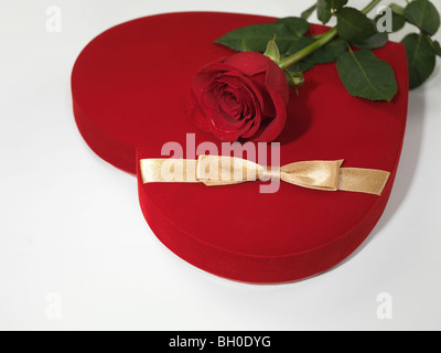 Red heart-shaped gift box and a red rose isolated on white background