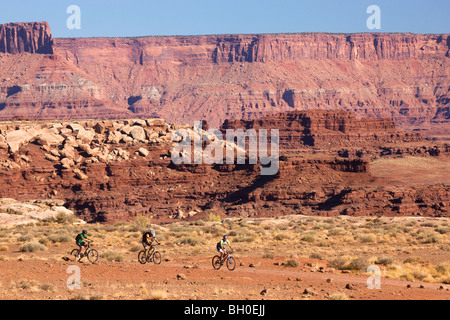 Mountain biking on the White Rim Trail, Island in the Sky District, Canyonlands National Park, near Moab, Utah. Stock Photo