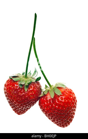 Two strawberries isolated on white background Stock Photo - Alamy