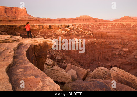 Hiker looks into the canyon along the White Rim Trail, Island in the Sky District, Canyonlands National Park, near Moab, Utah Stock Photo