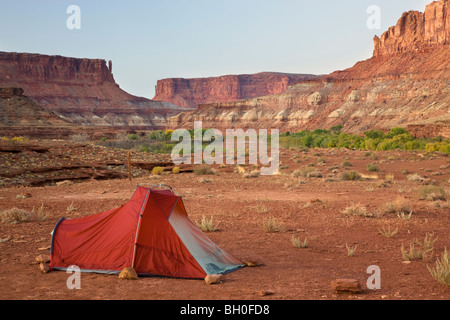 The Green River and the Labyrinth Campground site A, along the White Rim Trail, Island in the Sky District, Canyonlands National Stock Photo