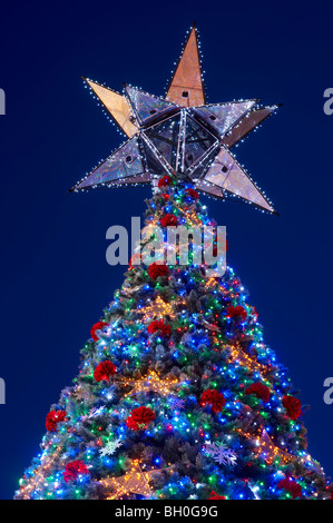 Worlds largest solar-powered Christmas tree at King George Square Stock Photo: 27672327 - Alamy