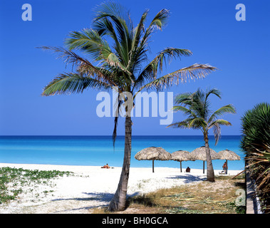 Tropical beach, Varadero, Matanzas, Republic of Cuba Stock Photo