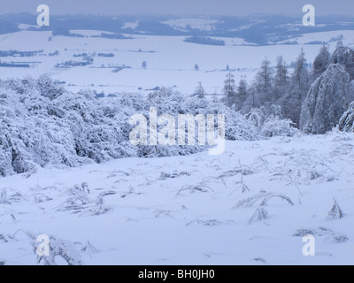 Extreme weather -winter - hoarfrost and glazed frost Stock Photo