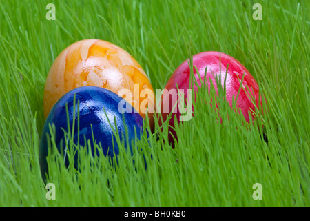 colored easter eggs lay in the grassland Stock Photo
