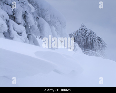 Extreme weather -winter - hoarfrost and glazed frost Stock Photo