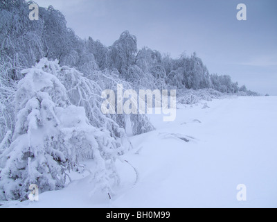 Extreme weather -winter - hoarfrost and glazed frost Stock Photo