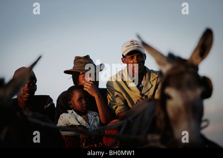 Family on a cart pulled by a donkey, Windhoek, Namibia, Africa Stock Photo