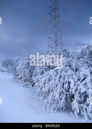 Extreme weather -winter - hoarfrost and glazed frost Stock Photo