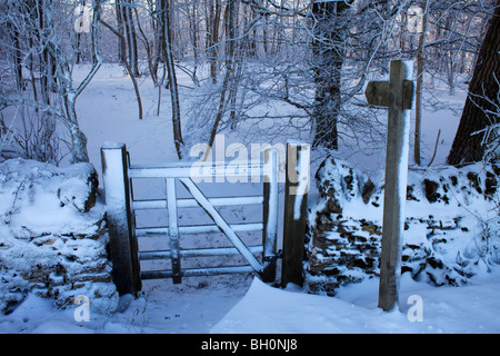 A footpath leading through snowy woodland near Snowshill in Gloucestershire Stock Photo