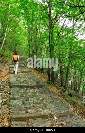 Woman walking on a flagstone path leading through the forest, Intragna, Centovalli, lake Maggiore, Lago Maggiore, Ticino, Switze Stock Photo