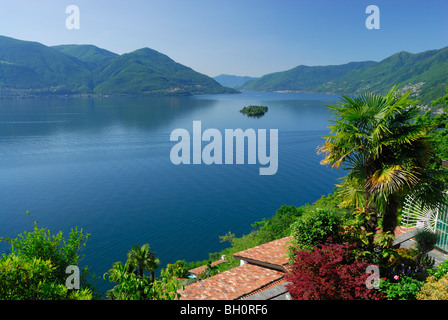 Terraced garden with palm trees and roofs above lake Maggiore with isle of Brissago, Isole di Brissago, Ronco sopra Ascona, lake Stock Photo