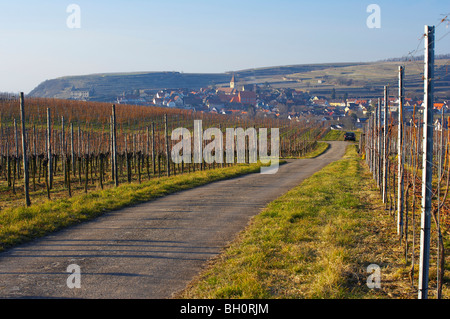 winter, Burkheim with vineyards, Kaiserstuhl, Baden-Wuerttemberg, Germany, Europe Stock Photo