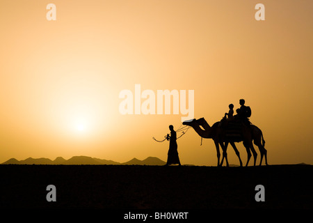 A man, a bedouin leading two camels with tourists, a mother and two children at sunset, Marsa Alam desert, Red Sea, Egypt Stock Photo