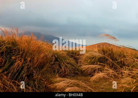 Grassland in Yangmingshan National Park under clouded sky, Taiwan, Asia Stock Photo