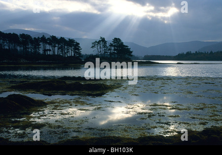 Europe, Great Britain, Ireland, Co. Kerry, Beara peninsula, Kenmare River Stock Photo