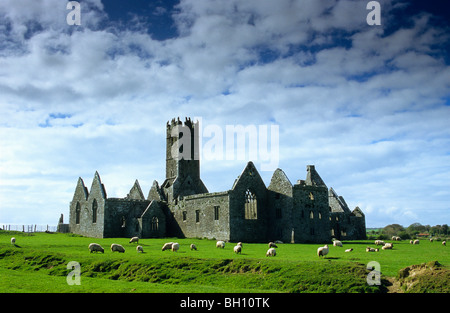 Ruins of Ross Abbey near Headford, Connemara, County Galway, Ireland, Europe Stock Photo