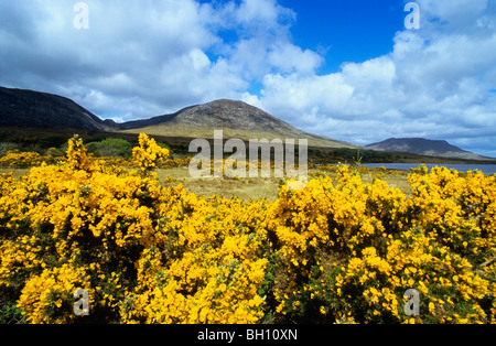 Landscape near Maam Cross, Connemara, Europe, Co. Galway, Ireland, Europe Stock Photo