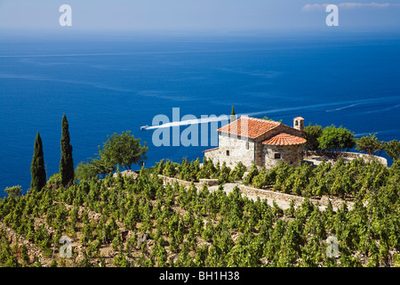Small villa and vineyard above the coast near Colle d'Orano, Elba, Italy Stock Photo