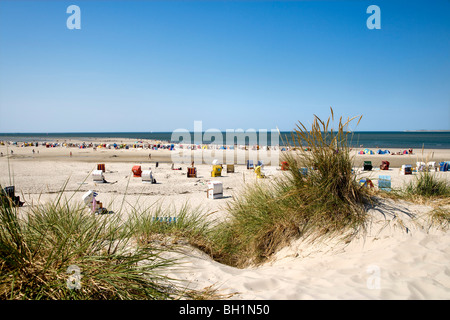 Beach Chairs on the Beach near Norddorf, Amrum, Island, North Frisian Islands, Schleswig-Holstein, Germany Stock Photo