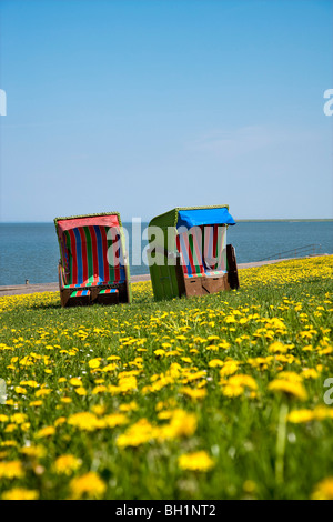 Beach Chairs and Flowers on a Dyke, Pellworm Island, North Frisian Islands, Schleswig-Holstein, Germany Stock Photo