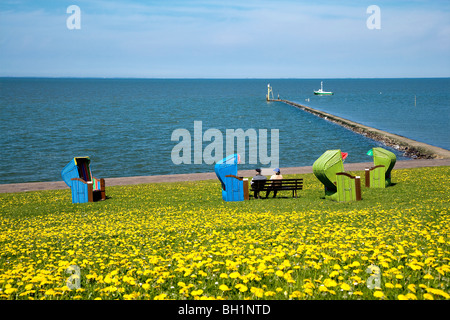 Beach Chairs and Flowers on a Dyke, Pellworm Island, North Frisian Islands, Schleswig-Holstein, Germany Stock Photo