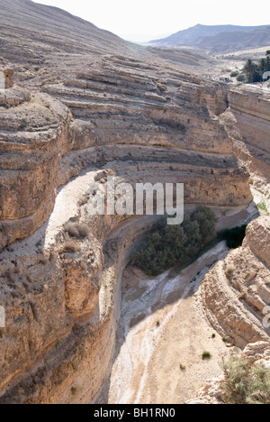 Canyon in the sunlight, Mides, Gouvernorat Tozeur, Tunisia, Africa Stock Photo