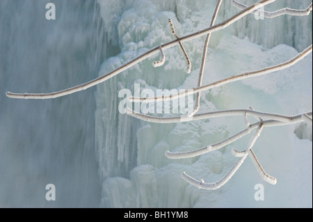 Frosted branches of ash tree near Ice formations of Bridal Veil Falls, Kagawong, Canada Stock Photo