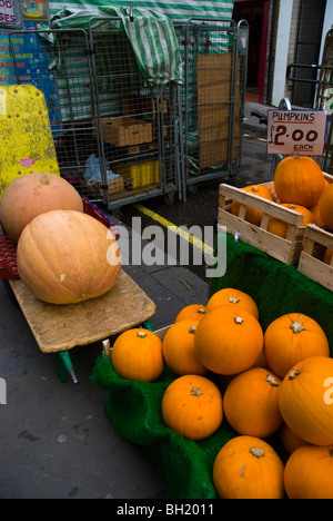 Pumpkins Berwick street market Soho central London England UK Stock Photo