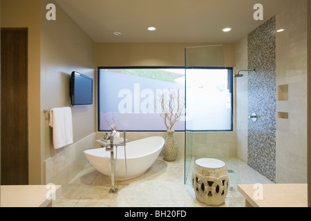 Palm Springs bathroom with freestanding bath Stock Photo