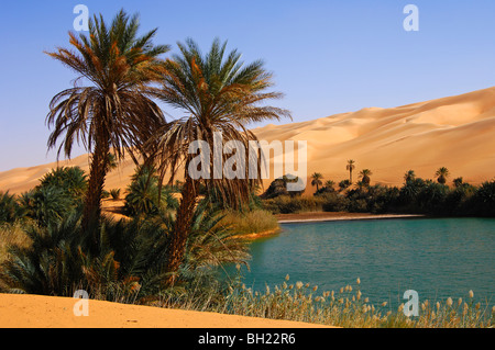 The Um el Maa desert lake in the middle of sand dunes of the Awbari Sand Sea, Sahara desert, Libya Stock Photo