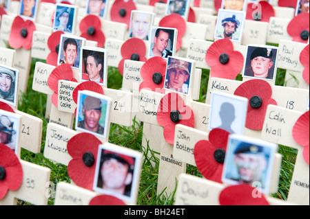 Wooden crosses with poppies and photos of British war dead in Iraq and Afghanistan in Field of Remembrance Westminster Abbey Stock Photo