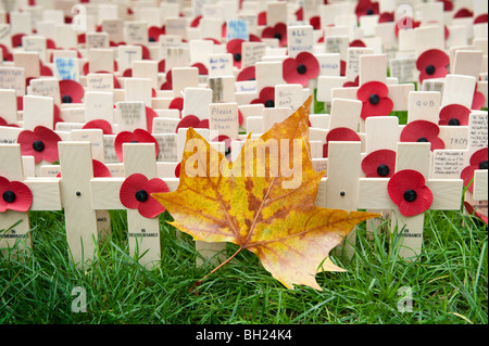 An autumn leaf surrounded by small crosses and poppies at the Field of Remembrance at Westminster Abbey, London Stock Photo