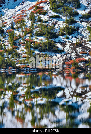 Ellery Lake with fall color and reflection after snowfall. Inyo National Forest, California Stock Photo