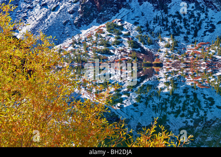 Ellery Lake with fall colored willows and reflection after snowfall. Inyo National Forest, California Stock Photo