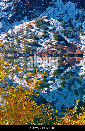 Ellery Lake with fall colored willows and reflection after snowfall. Inyo National Forest, California Stock Photo
