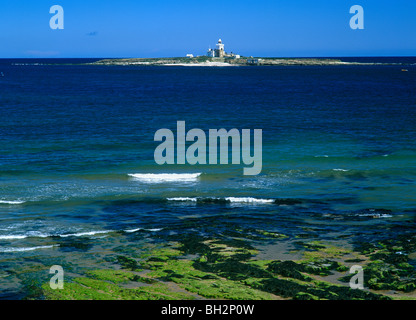 A view of Coquet Island off the Northumberland Coast near Amble, Northumberland Stock Photo