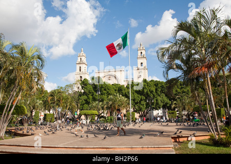 Zocalo and Cathedral. Merida, Yucatan, Mexico. Stock Photo