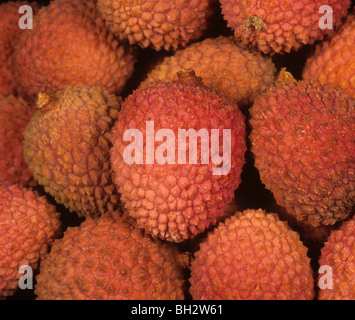 Lychee or Litchi fruit (Litchi cinensis) from British supermarket Stock Photo