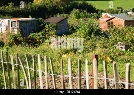 Allotment plots with wooden sheds and wooden fence in the foreground Stock Photo